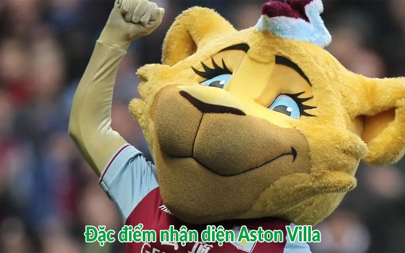 Đặc điểm nhận diện Aston Villa