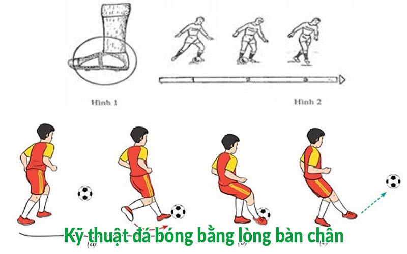 Kỹ thuật đá bóng bằng lòng bàn chân