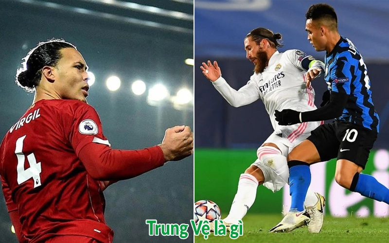 Trung Vệ là gì