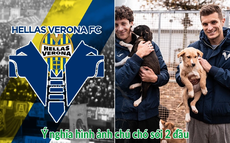 Ý nghĩa hình ảnh chú chó sói 2 đầu